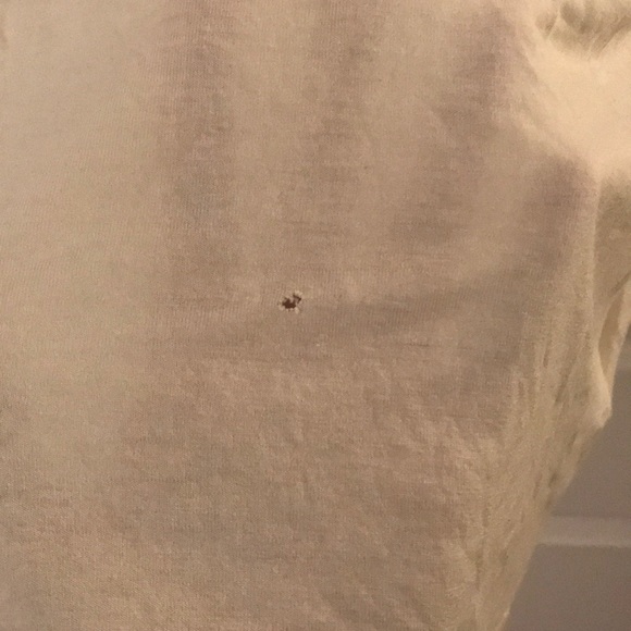 Cream Lace Shirt - Picture 5 of 5